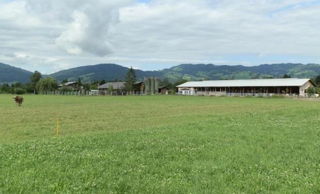 Steigmatt Bauernhof- Erlebnis Villa Montlingen Bagian luar foto