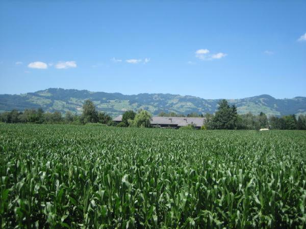 Steigmatt Bauernhof- Erlebnis Villa Montlingen Bagian luar foto