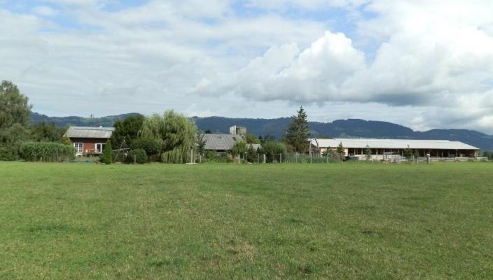 Steigmatt Bauernhof- Erlebnis Villa Montlingen Bagian luar foto